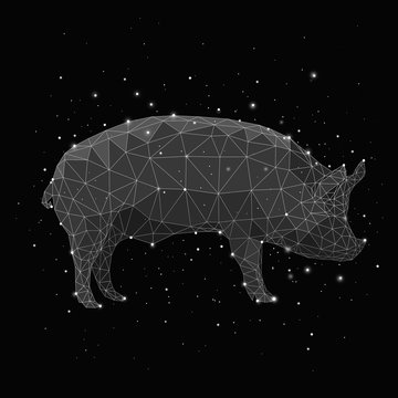 Composite image of constellation forming pig against black background