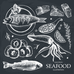 Vector Seafood set. Hand drawn sea food sketch collection - fresh fish, caviar, squid and spice. Vintage fish dishes illustration.