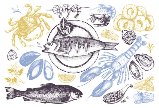 Vector Seafood set. Hand drawn sea food sketch collection - fresh fish, lobster, crab, oyster, mussel, squid and spice. Vintage fish dishes illustration. Seafood outlines.
