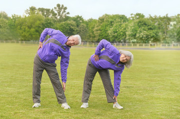 Fototapeta na wymiar fit senior couple exercising