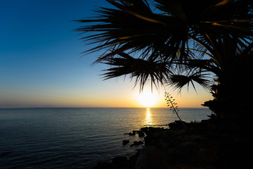 Palm trees and sea view at sun rise, in protaras beach, cyprus island