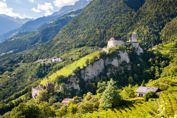 Vigne del Trentino Alto Adige