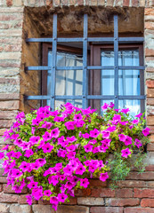 Barred window with a large flower bed of lilac flowers.