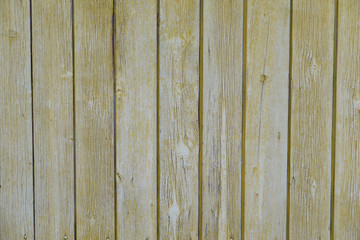 Texture of yellow wooden planks natural