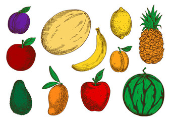 Healthy and fresh fruits colored sketch icons