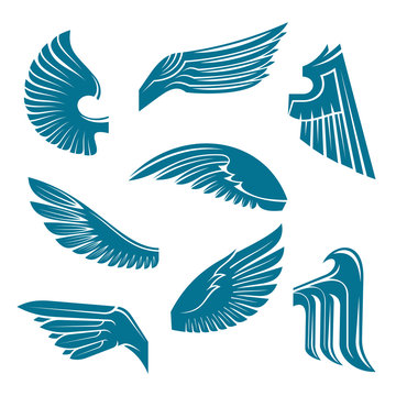 Blue bird wings heraldic design elements