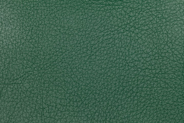 Green leather texture background. Closeup photo.