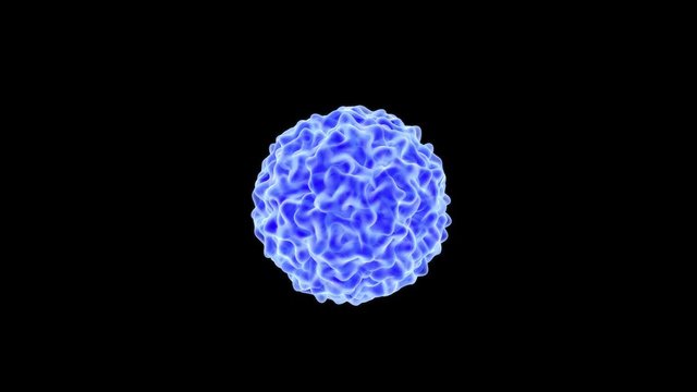 Virus dreht sich vor schwarzem Hintergrund - Loop 4K 3D Animation
