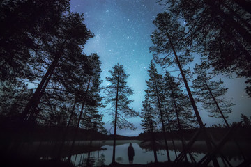 Silhouette of trees in forest, Finland