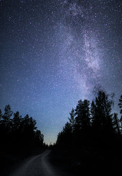 Silhouette of trees with milky way in sky, Finland