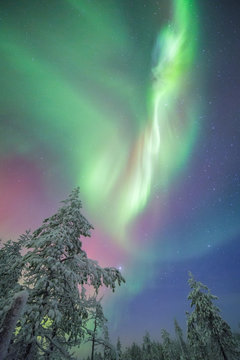 Aurora borealis over trees, Finland