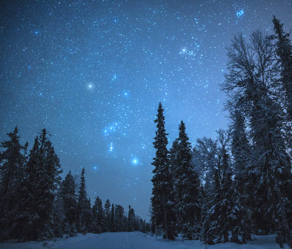 Starry Night Sky Over Snowy Trail, Finland