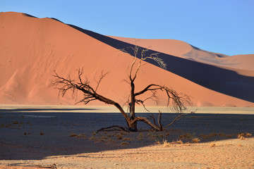 Fototapeta na wymiar Sossusvlei, Namib Naukluft National Park, Namibia