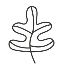 nature leaf  isolated icon design