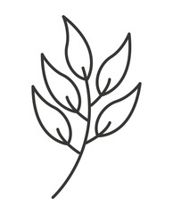 nature leaf  isolated icon design
