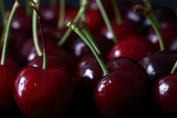Cherries / Fresh cherries on a black wood background