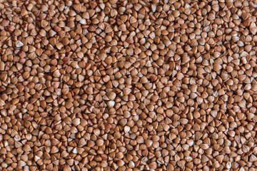 raw buckwheat, buckwheat macro photo, buckwheat grains, buckwheat background, dry buckwheat, organic buckwheat, brown buckwheat