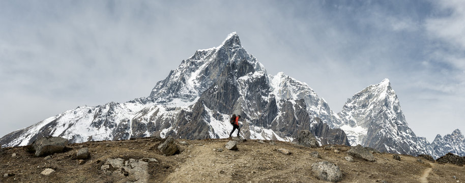 Nepal, Himalaya, Solo Khumbu, Ama Dablam, man trekking