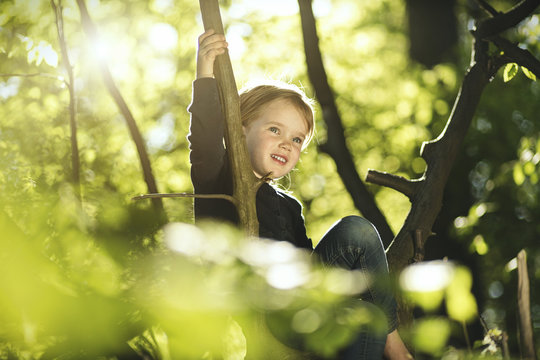 Girl in forest climbing in tree
