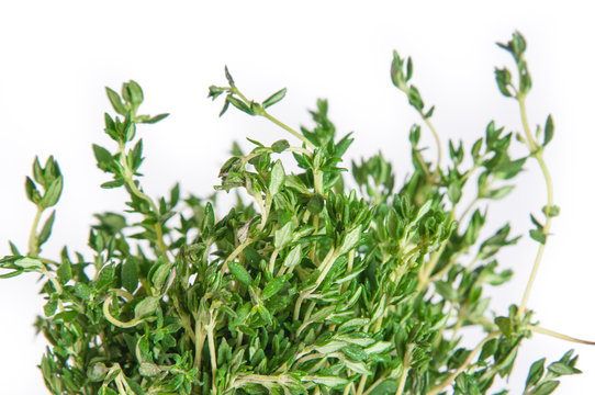 kitchen herb thyme isolated on white background