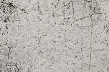 Texture of the old wall