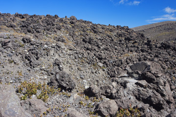 Lava formations near Soda Springs.
