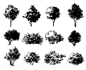 Set of hand drawn trees and bushes isolated on white. Sketches for landscape design.