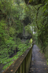 Walkway to Mangapohue Natural Bridge.
