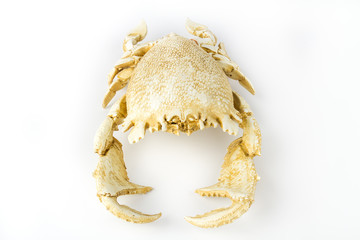 Artificial crab isolated on white background