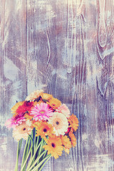 Vintage Gerbera Flowers on Wooden Background