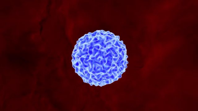 Virus rotiert im Blutkreislauf - Loop 4K 3D Animation 