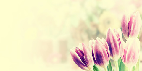 Vintage Nature Background with Tulips