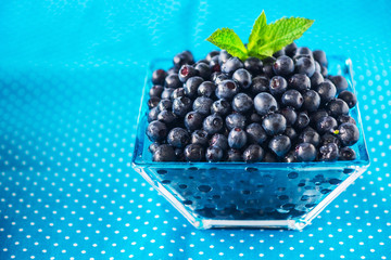Bowl of  fresh picked blueberries