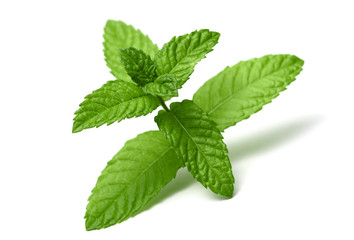 peppermint leaves