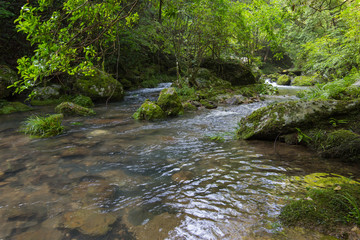 愛媛県西予市　桂川渓谷