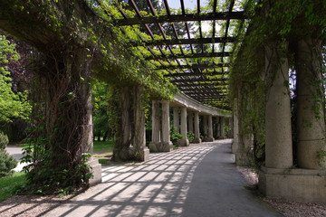 Breslau Pergola - Wroclaw Peergola in the park