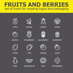 Fruit and berries icon collection - vector illustration. Fruit and berries icons set for creating logos and packaging. Fruit and berries line icons.