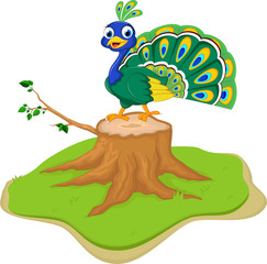 Peacock cartoon on tree stump