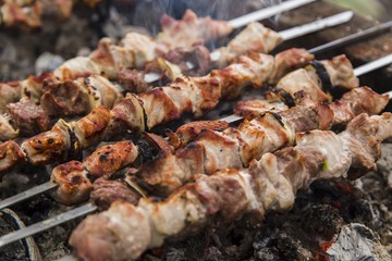 Skewers on the grill