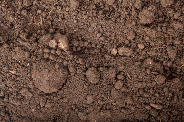 Soils for plants background