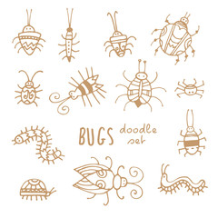 Cartoon bugs set. Different species of beetles.  Funny insects collection. Doodle style. Vector contour image no fill.