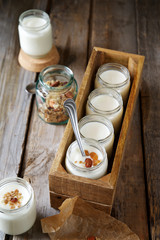 Homemade yogurt with granola