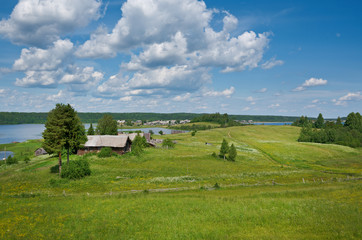 Fototapeta premium Russian summer meadow