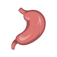 Stomach icon, cartoon style