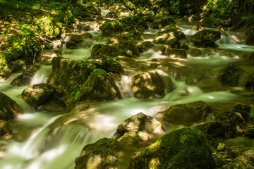 Rivière l'Alloix - Chartreuse - Isère.