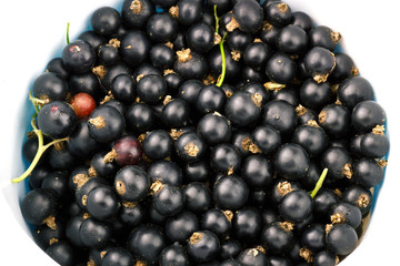 Black ripe currant berry top view, fruit background.