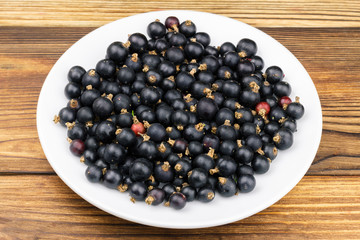Black ripe currant in white plate on wooden background.