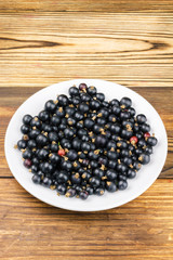 Black ripe currant in white plate on wooden background.