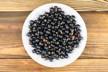 Black ripe currant in plate on wooden background, top view