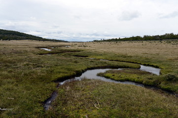 Fototapeta na wymiar Tierra Del Fuego.